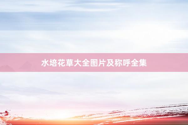 水培花草大全图片及称呼全集
