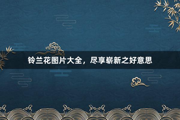铃兰花图片大全，尽享崭新之好意思