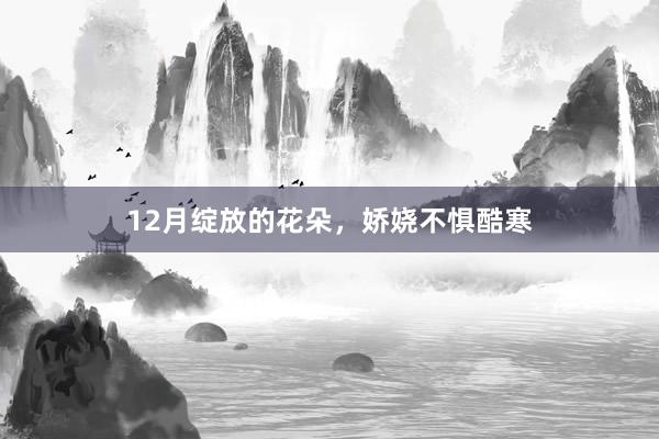 12月绽放的花朵，娇娆不惧酷寒