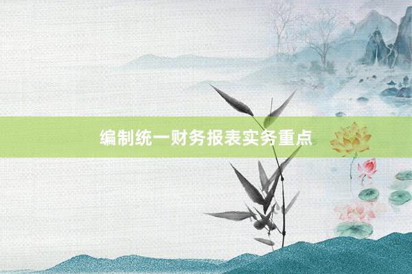 编制统一财务报表实务重点