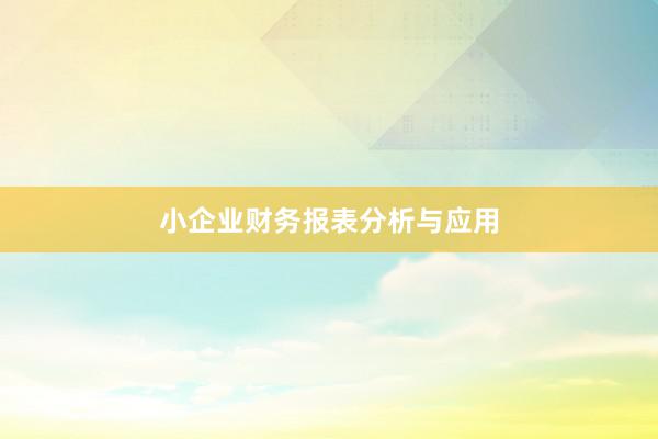小企业财务报表分析与应用
